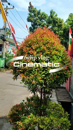 Cinematic vlog