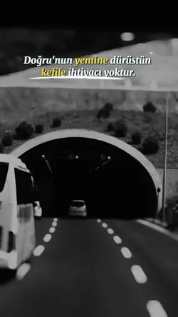Viral Şablon 