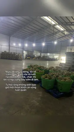 Ngày đi làm 12 tiếng