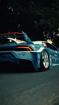 Car tiger top