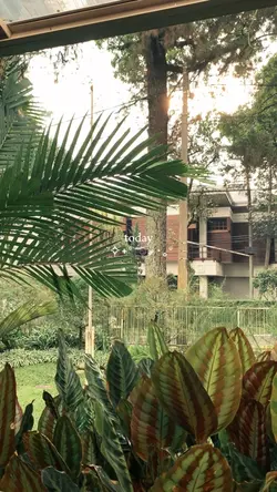 untuk apa? vlog