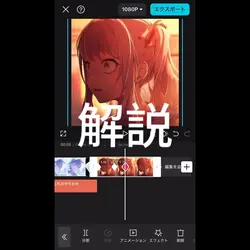 解説