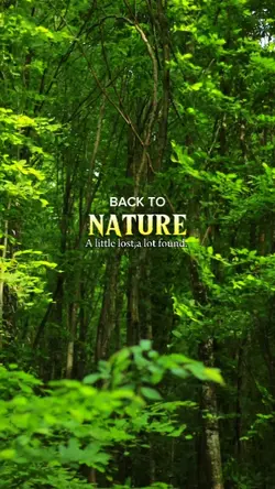 sound nature