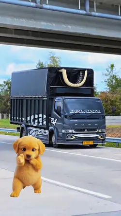 kicau mania