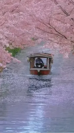 spring in japan