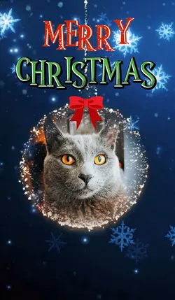 Christmas Kitty