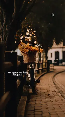 SẦU LẺ BÓNG