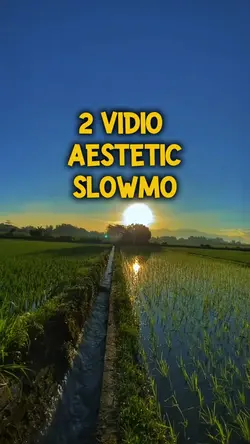 VLOG 2 VIDIO CLIP