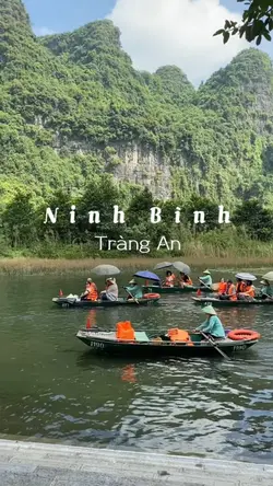 Mẫu HQ