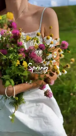 spring moment's