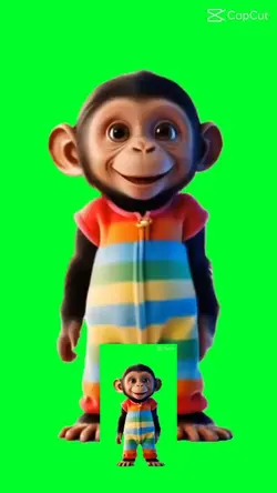 macaco 