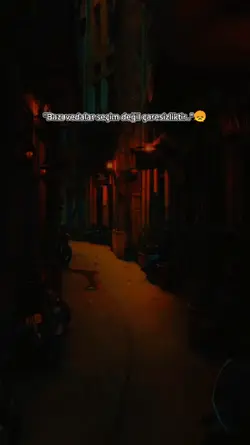 yeni şablon 
