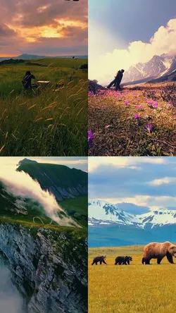Nature Beauty 