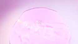 시간표