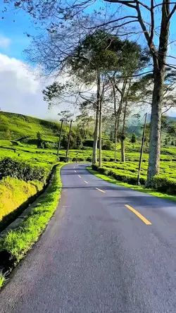6 video nature