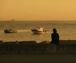 sparks coldplay
