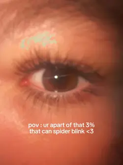 spider blink !!