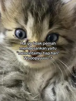 storywa 