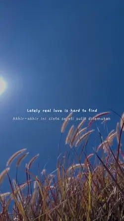 Real Love - Skyline
