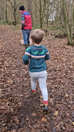 Dog walking 