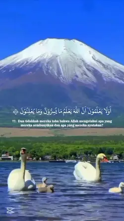 Surah Baqara Ayat 77