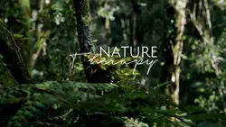 Nature Therapy