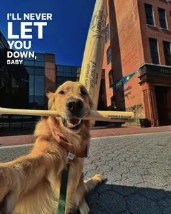 let you down baby