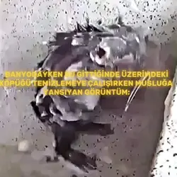 Antebin Hamamlarııı