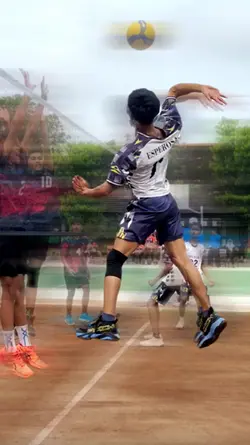 Volley Highlights 