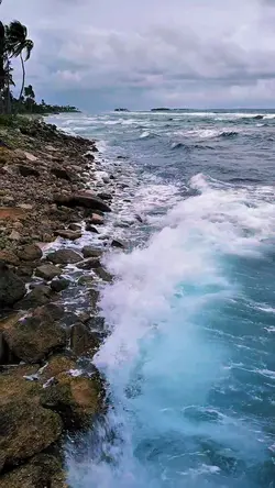 ROCKY SHORELINE
