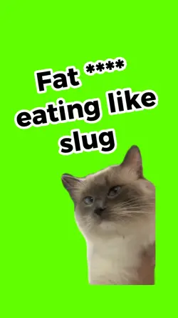 Cat meme - Fat slug