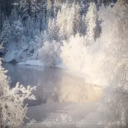 Winter Aestetic