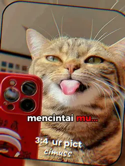 Berharap Engkau Kan