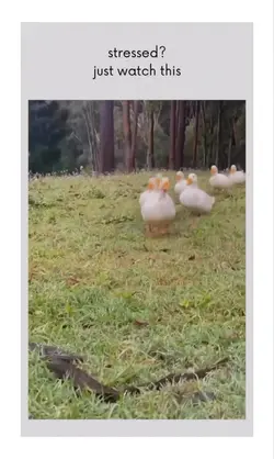 Watch this