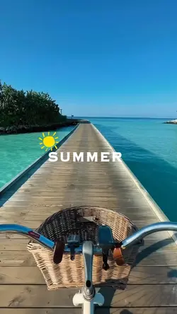 mini vlog