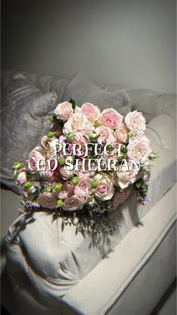 Perfect 2 ảnh