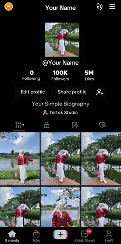tiktok followers