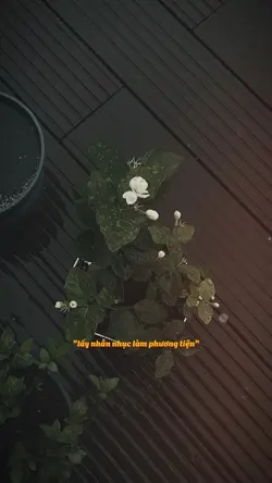 Dức Phật từng dạy