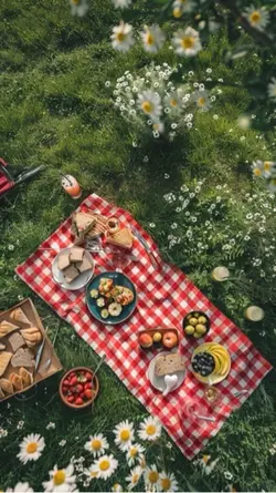 Picnic