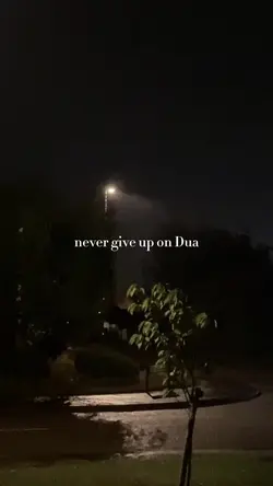 Never give up