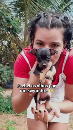 Quanto você cresceu.