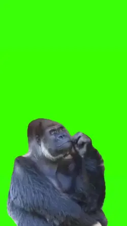 gorilla meme
