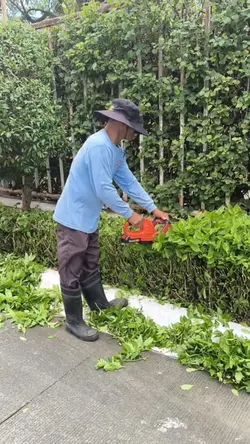 Trimming 