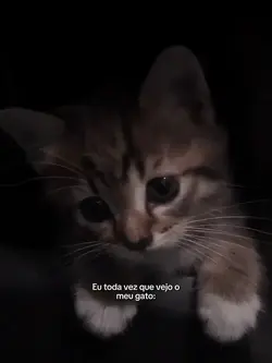 MEU CUTE CUTE