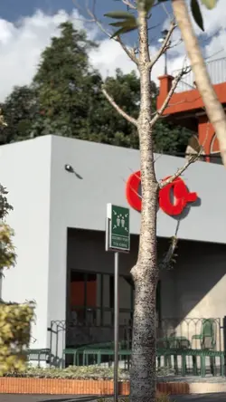 11 CLIP VIDEO 