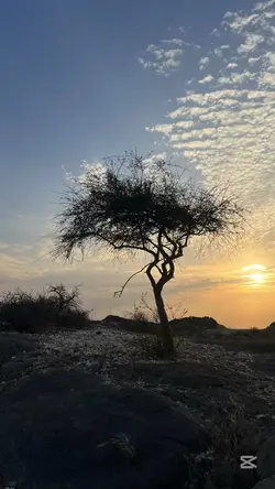 اللهم حسن الختام🍃