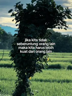 Quotes Story
