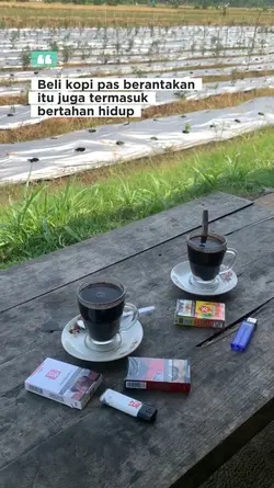 quotes kopi