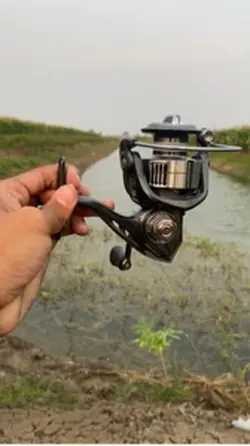 Trend Lagu mancing