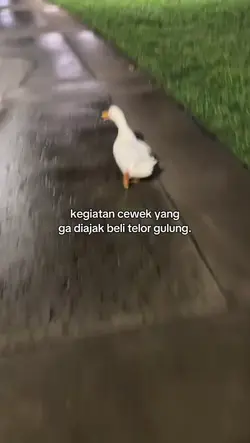 kegiatan cewek yang